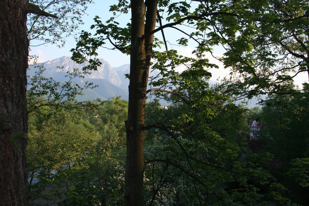 Apartament Cicha Woda Zakopane Værelse billede